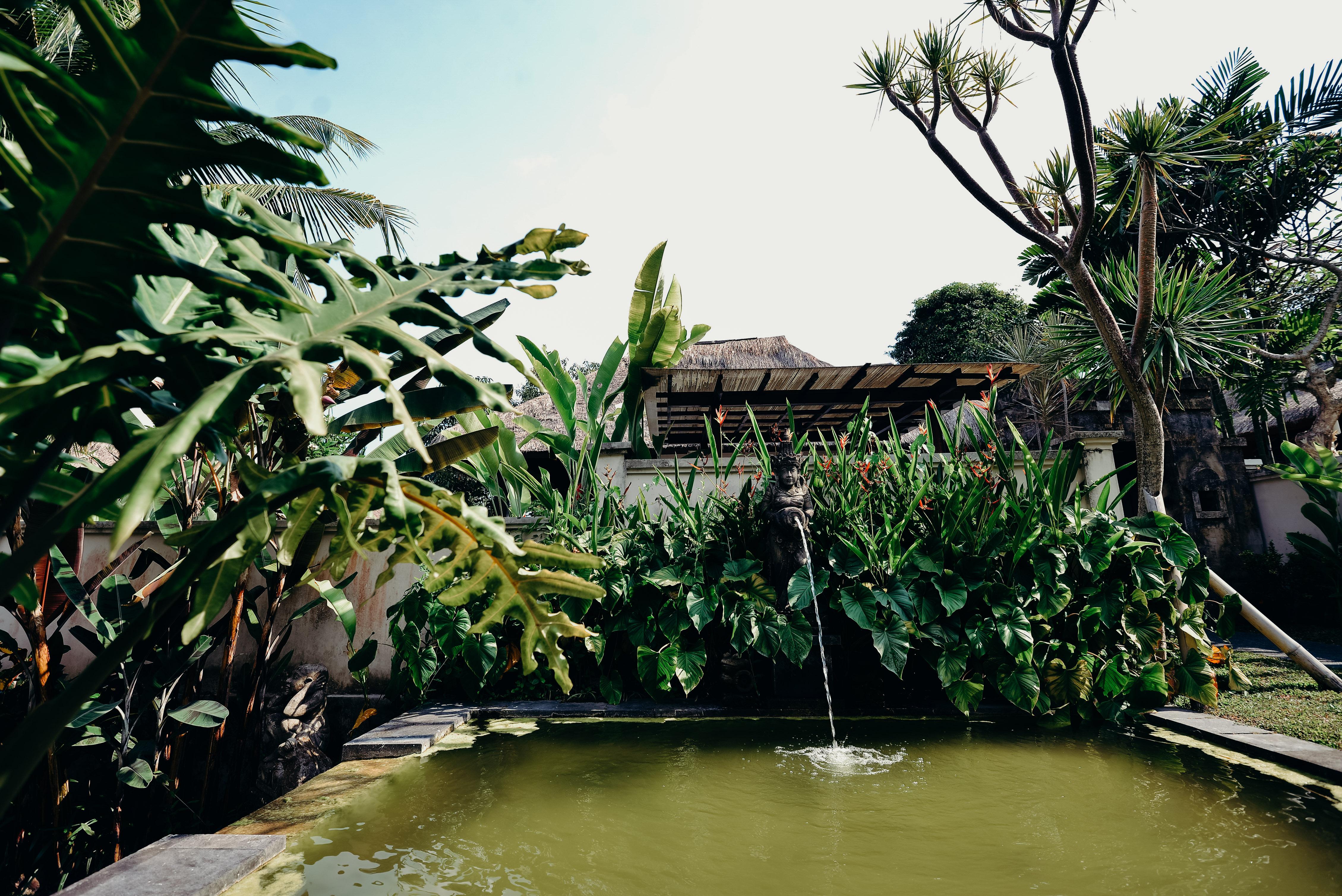Pertiwi Resort&spa 3*